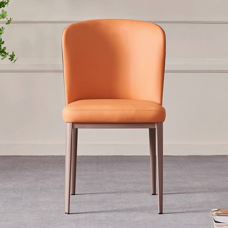 GDC Simple Modern Light Luxury Dining Chair Home Kitchen