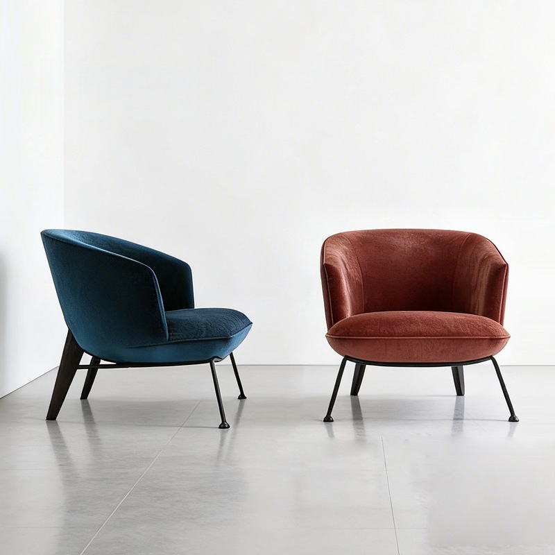 GDC Nordic Minimalist Living Room Lounge Chair with Metal